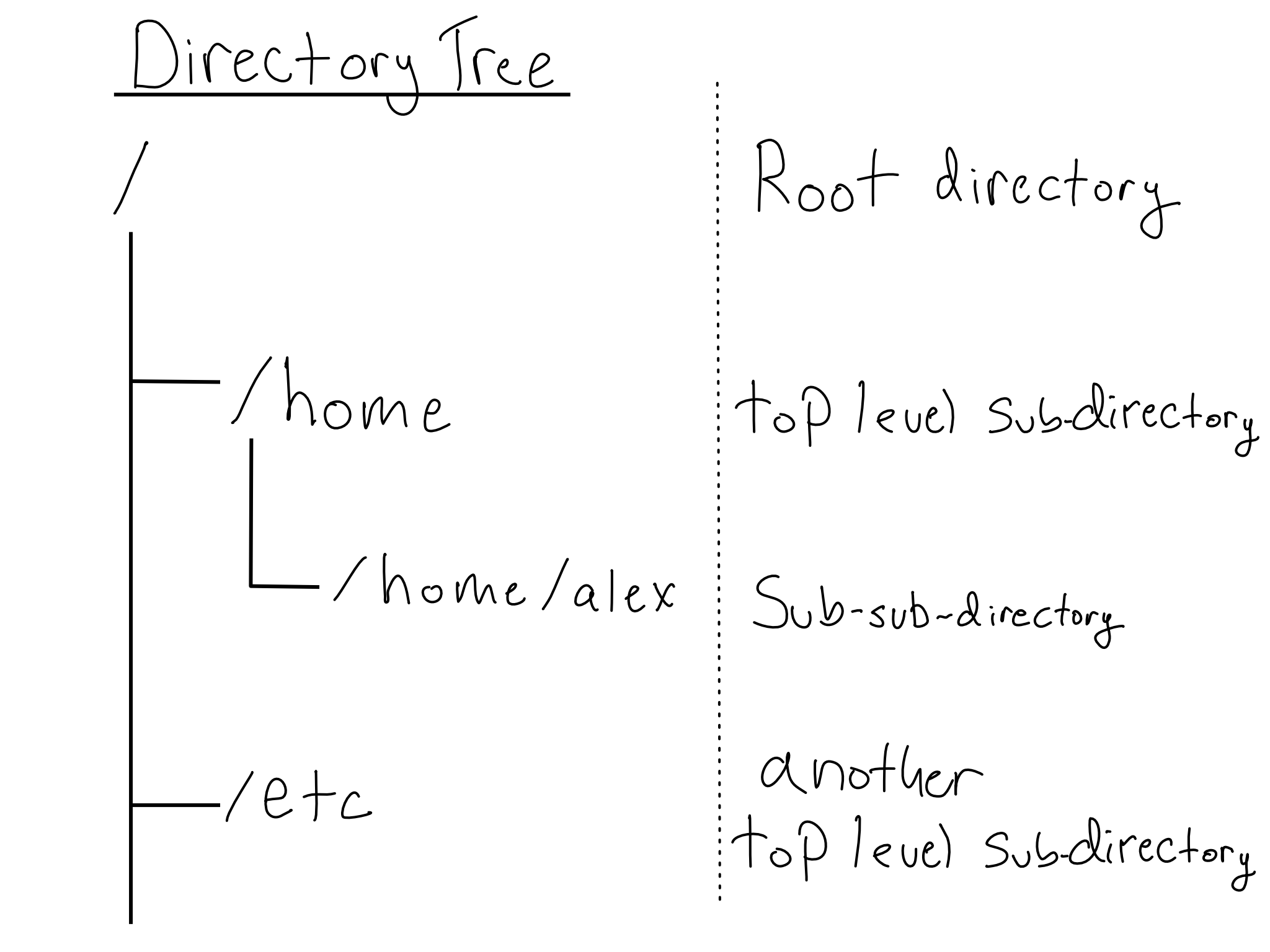 A tree of directories. / is the root, /home is a sub directory, /home/alex is a sub-sub-directory, and /etc is another sub-directory.